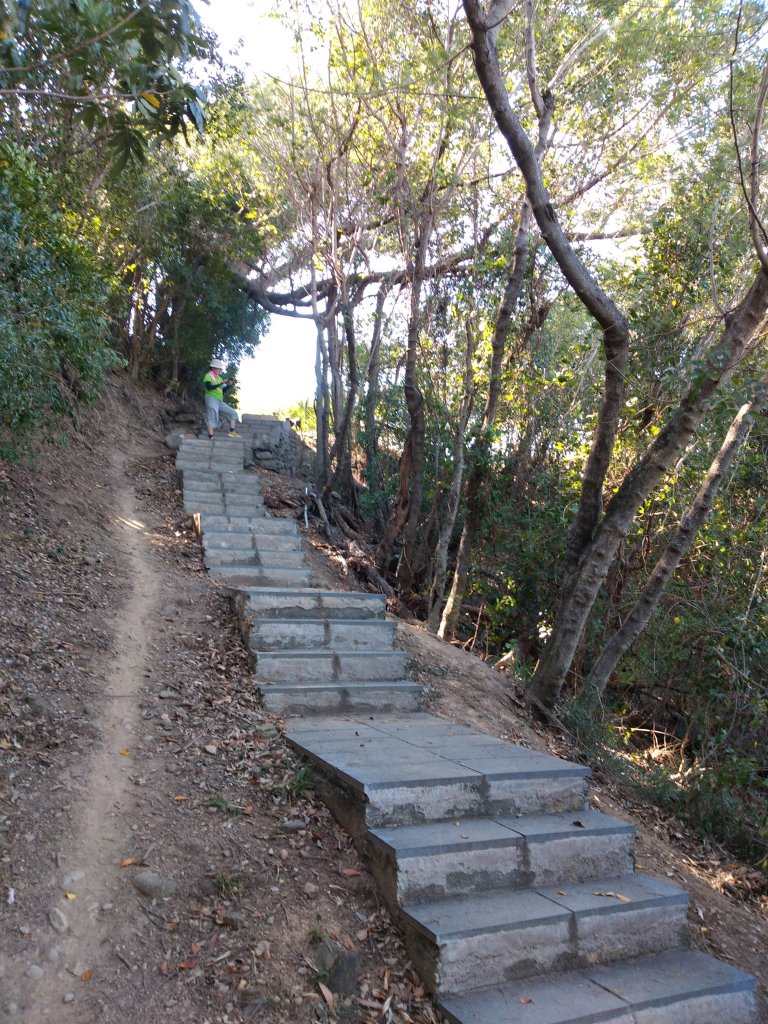 步道巡訪員 l 鯉魚山步道五月巡訪日誌封面圖