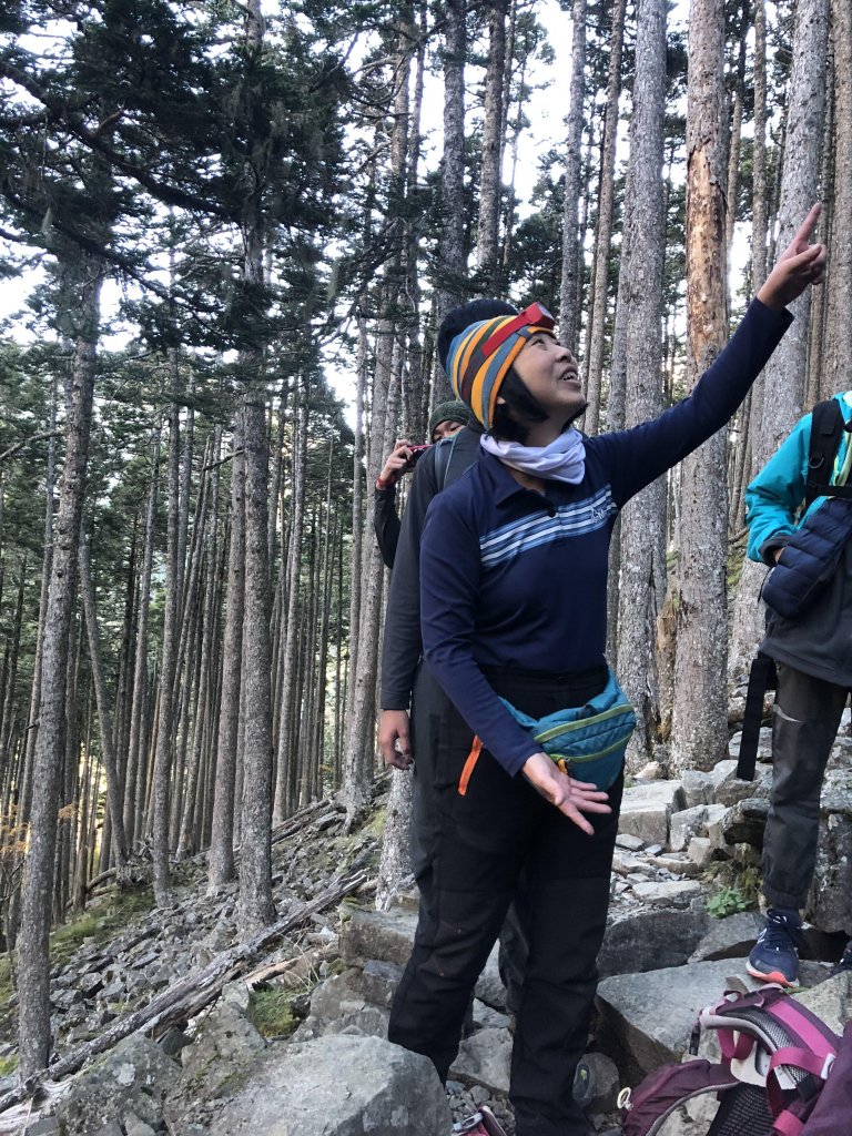 雪山 不下雪_532919