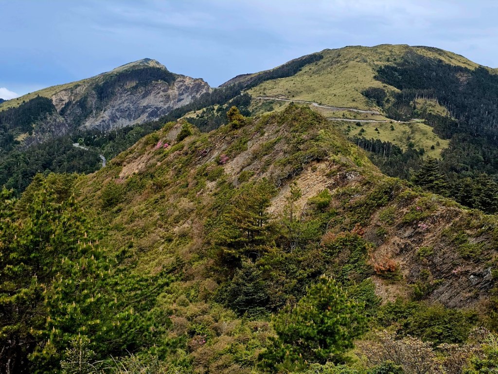 合歡北峰步道-(南投)臺灣百大必訪步道_2795035