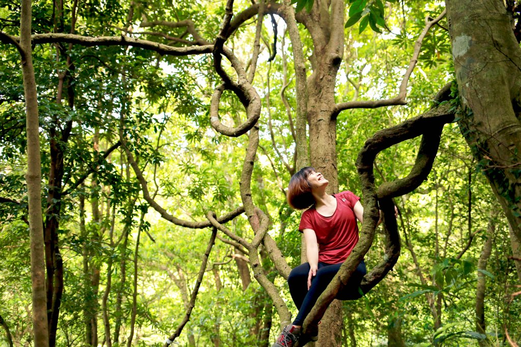 尖石鄉：貴妃山、石猴鞍部_656869