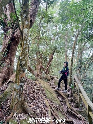【南投國姓】九份二山x九份二山國家地震紀念地x九號梅莊_2981703