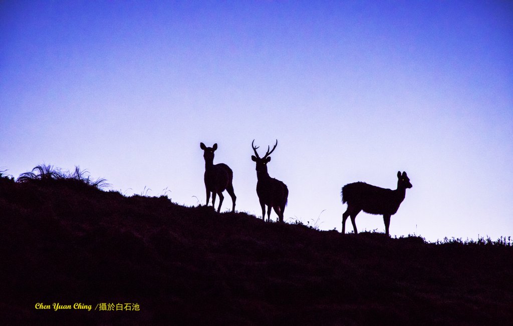 能安縱走(續篇)_1235197