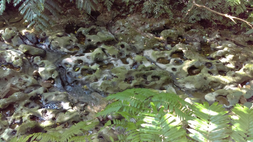 【臺北大縱走7】貓空壺穴、優美的茶香步道_804926