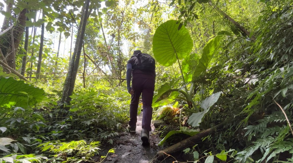 九份二山_2597568