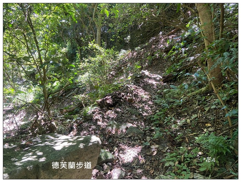 北松鶴山、德芙蘭步道 (台中 和平)_2922137