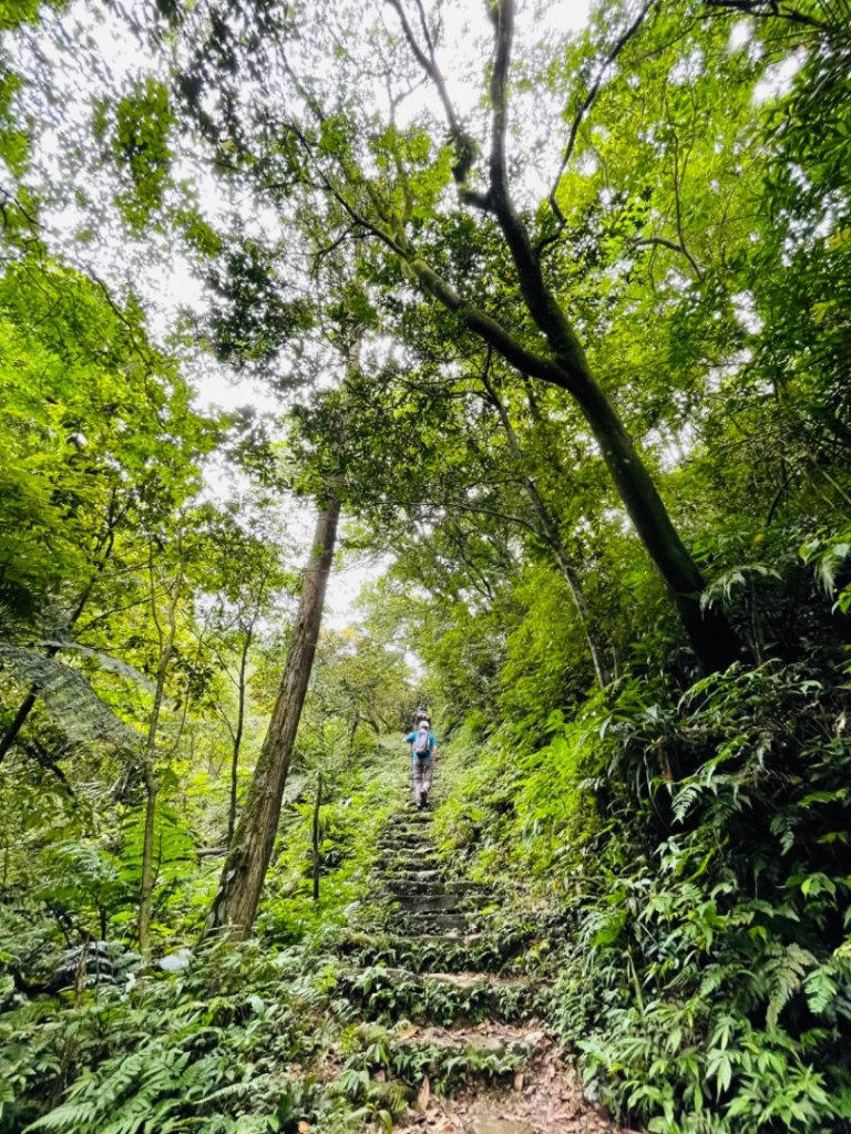 淡蘭中路（暖暖車站-十分車站）_1685453