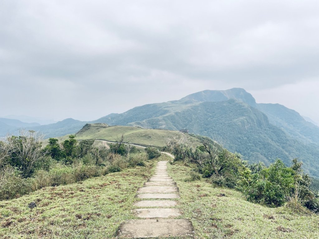 20241215 桃源谷步道（內寮線）_2745767