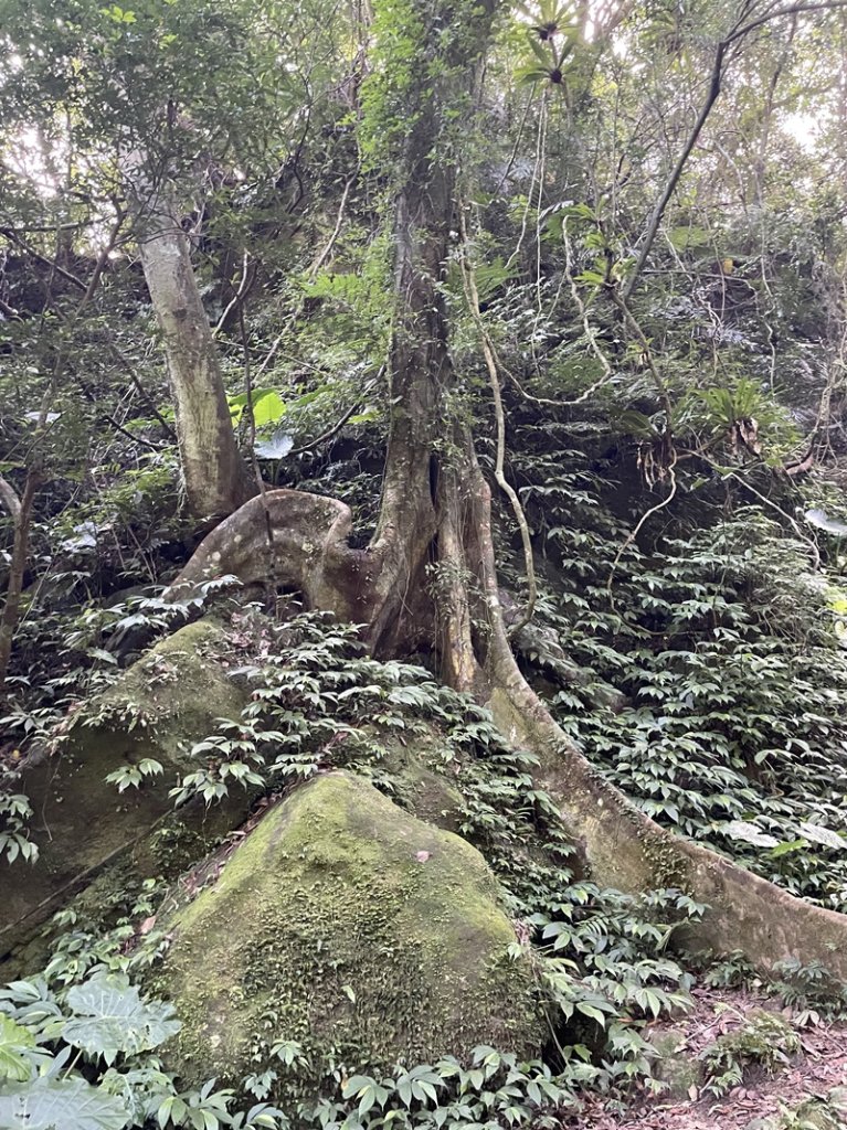 月扇湖大岩壁_2952406