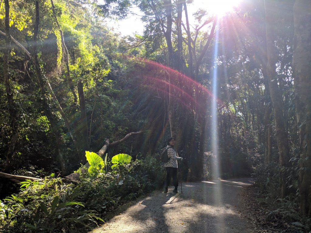 白毛山封面圖