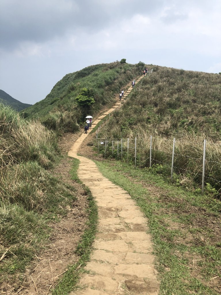 【台北大縱走3】冷水坑到風櫃口_953015