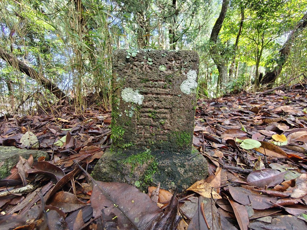 2025/06/07-鳥嘴山步道_2805987