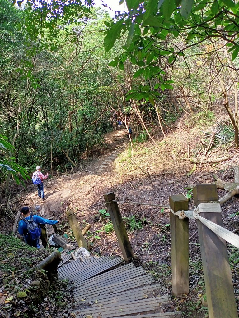 【三湖縱走】內湖大湖公園→康樂山→明舉山→內溝溪生態展示館→汐止內溝山→翠湖→金龍湖_2072521