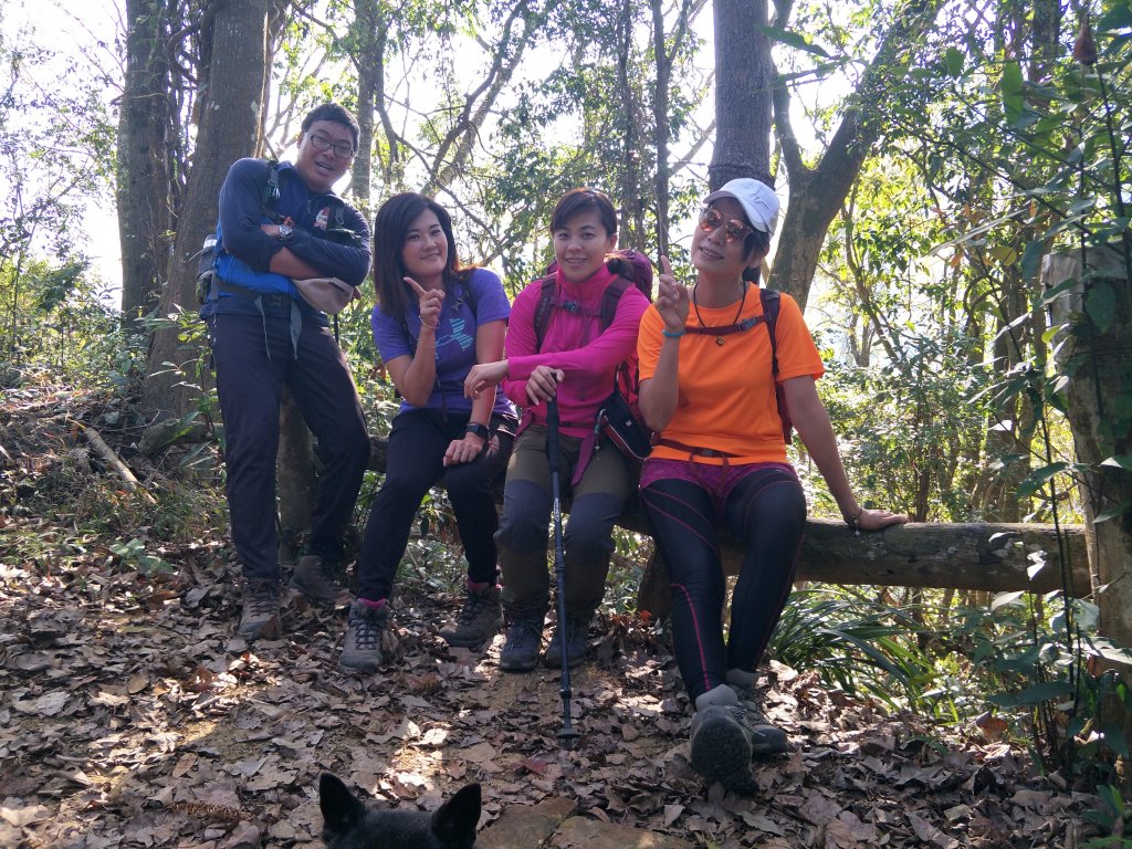 2020 02 24 大克山登山步道_1015543