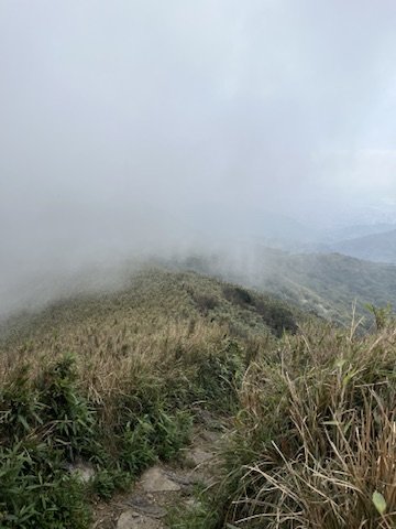 20250228小觀音山小小y_2755473