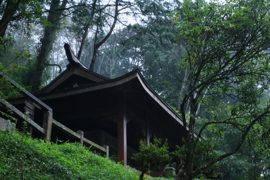 阿里山巨木群棧道雨中記行_201739