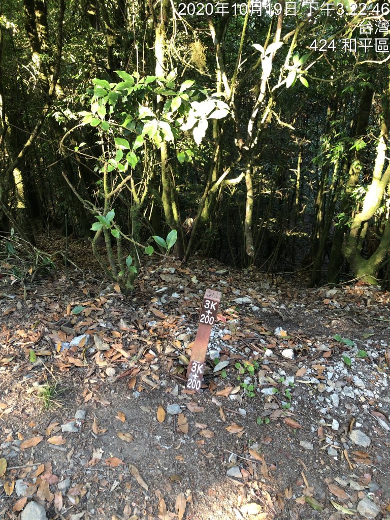 鳶嘴稍來國家步道季秋縱走_1144677