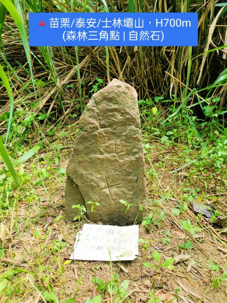🔺基石 | 三角點_1855699