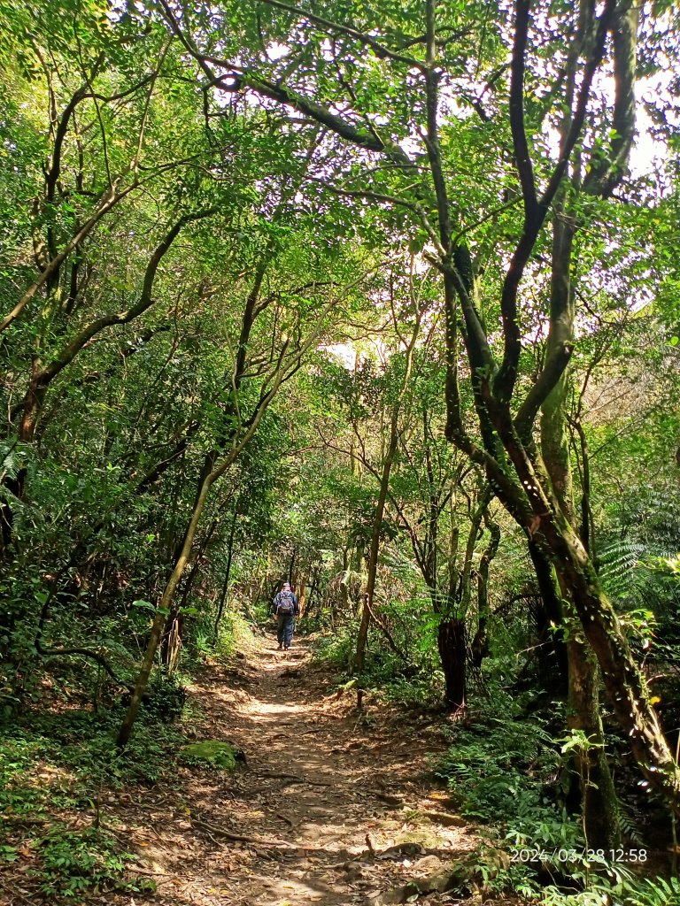 【臺北大縱走4】風櫃嘴→雙溪溝古道→五指山古道→大崙頭山北面步道→許願步道→圓覺寺步道→大溝溪→大湖_2469079