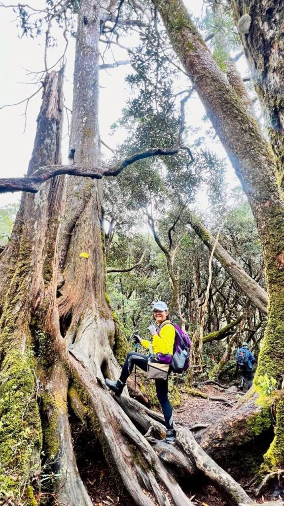 🌈4/13（日）（三）魔法森林-塔曼山~FB：熊熊趴爬走🌈_2761314