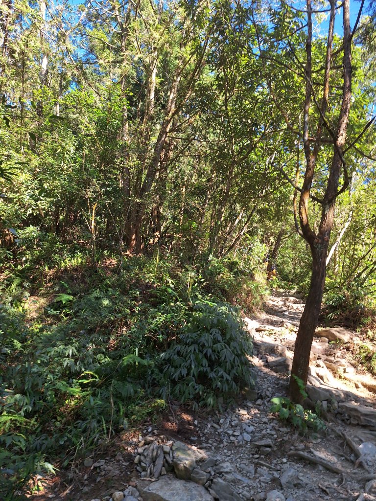 日湯真山20260104_2978567