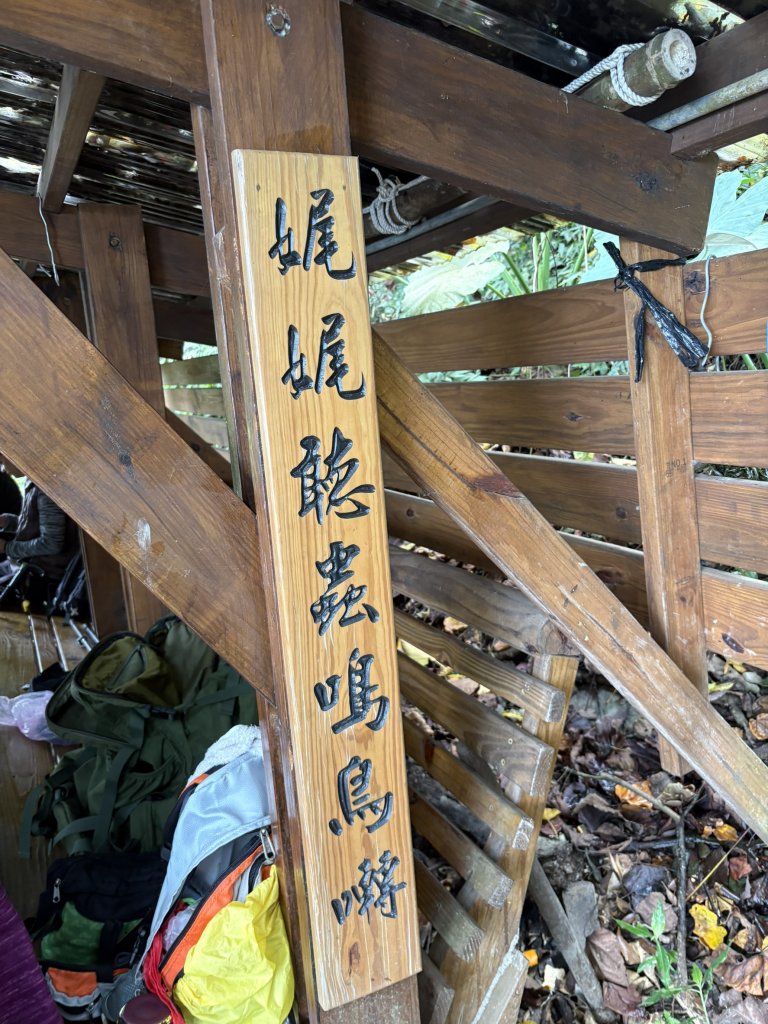 20251227尾寮山登山步道_2970551