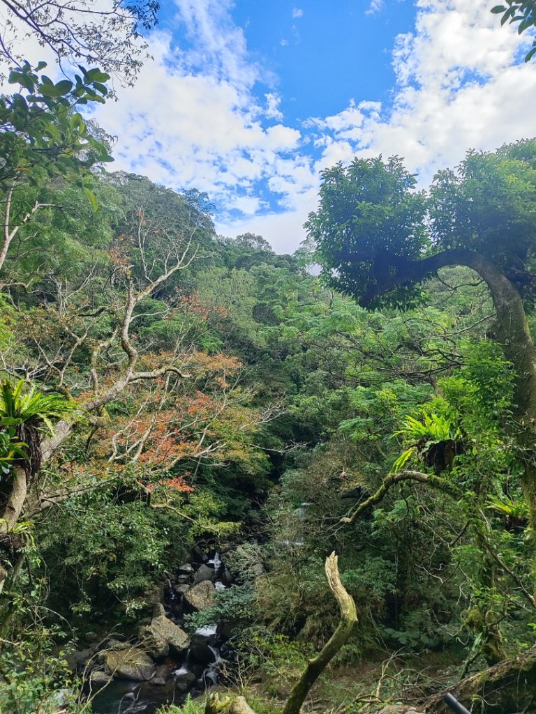 滿月圓_2964533