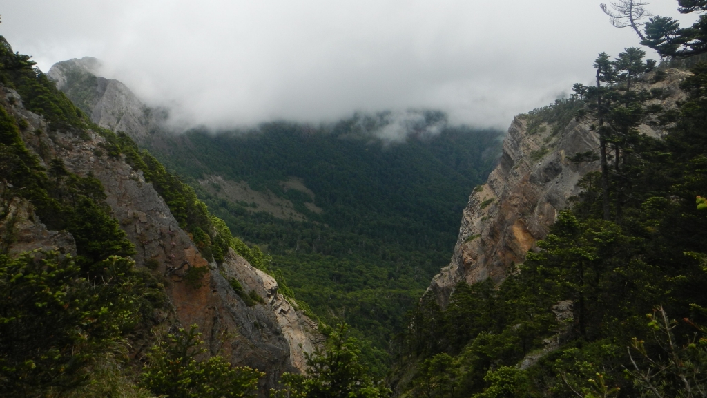 【山岳之美】103.06.23-26武陵四秀_5273