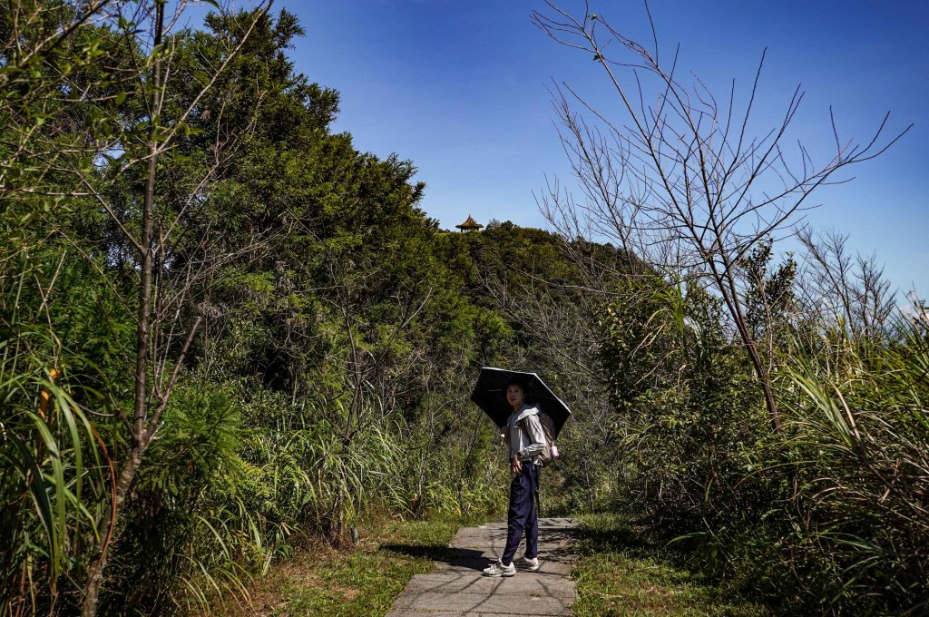 五分山｜小百岳_2915443