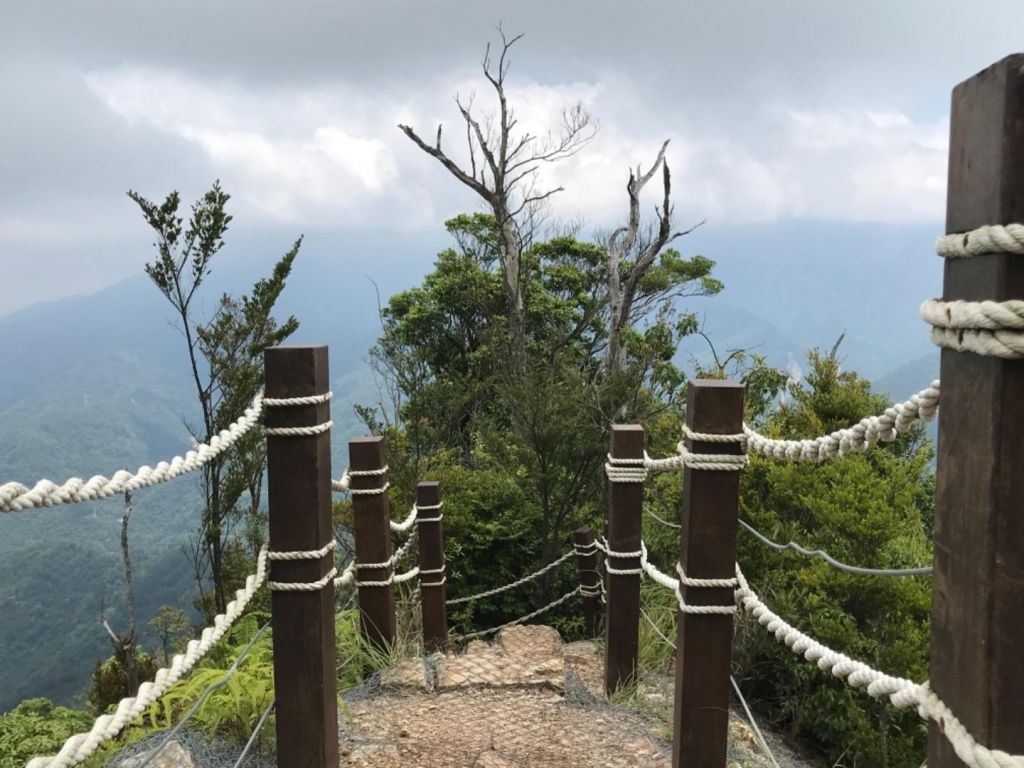 白毛五月看雲飛_335002