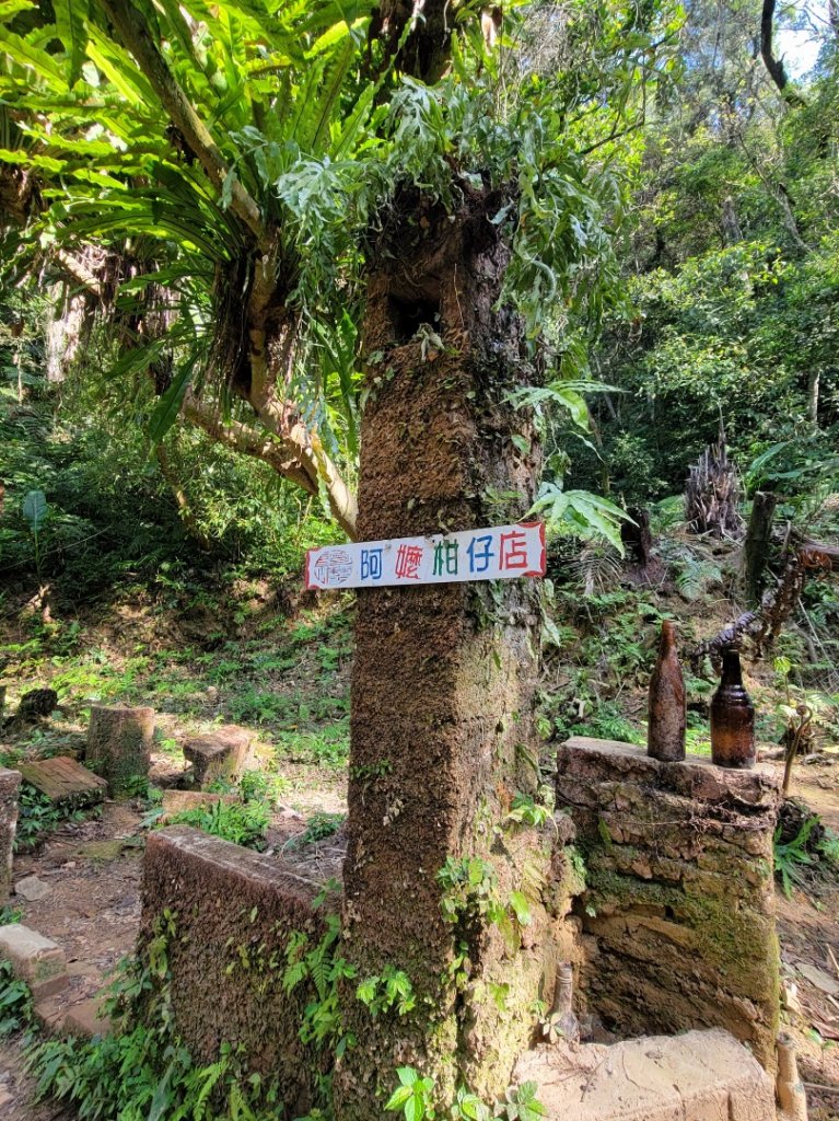 112.03.23 桃園大溪-打鐵寮古道_2082942