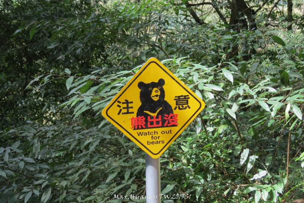 《台中》谷關七雄｜初登屋我尾山20170319_2890422