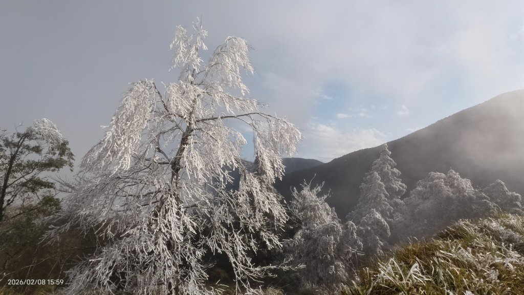 #霧淞 #雲海 #雲瀑 #霧虹 #太平山 #望洋山 #觀雲步道 #翠峰道路  2/8_2995381