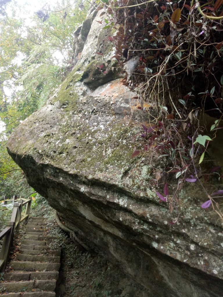 小百岳崁頭山+八卦山一線天步道_1883551