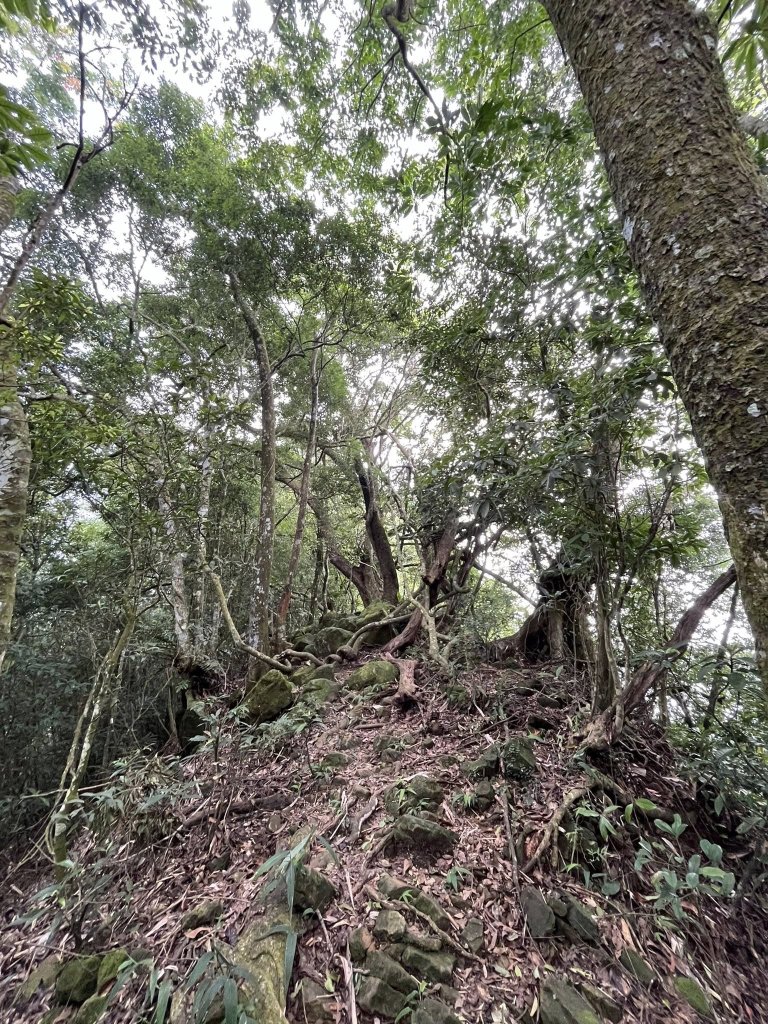 九份二山_2866791