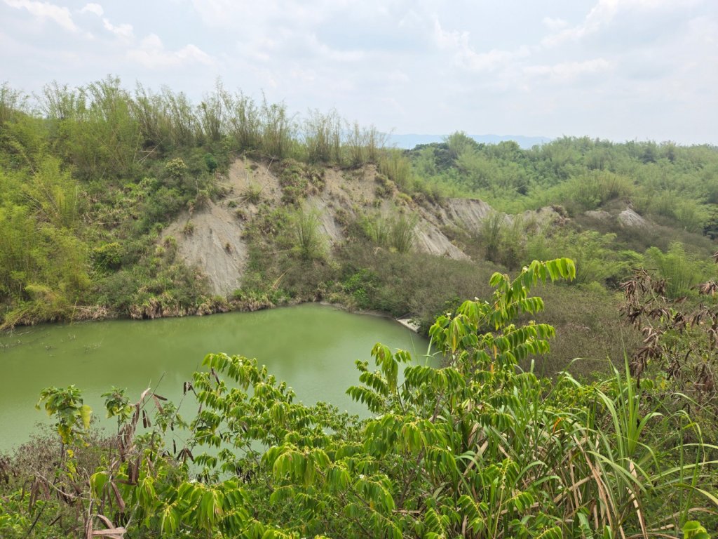 2025-04-07 左鎮後坑古道（牛港嶺）_2757655