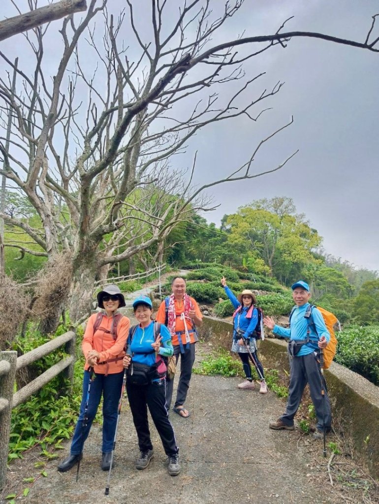 鳳凰谷步道走凍頂麒麟山_2770475