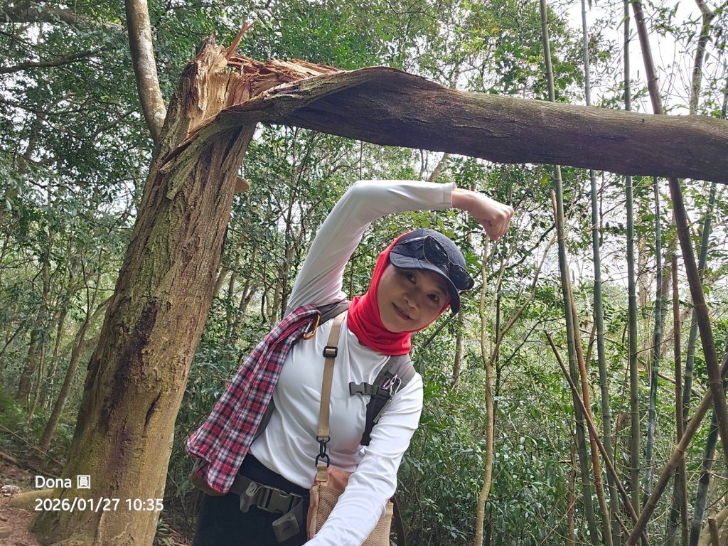 20260127三通嶺山.三義山(大桁茂山).慈濟山.大坪山大O走_2989898