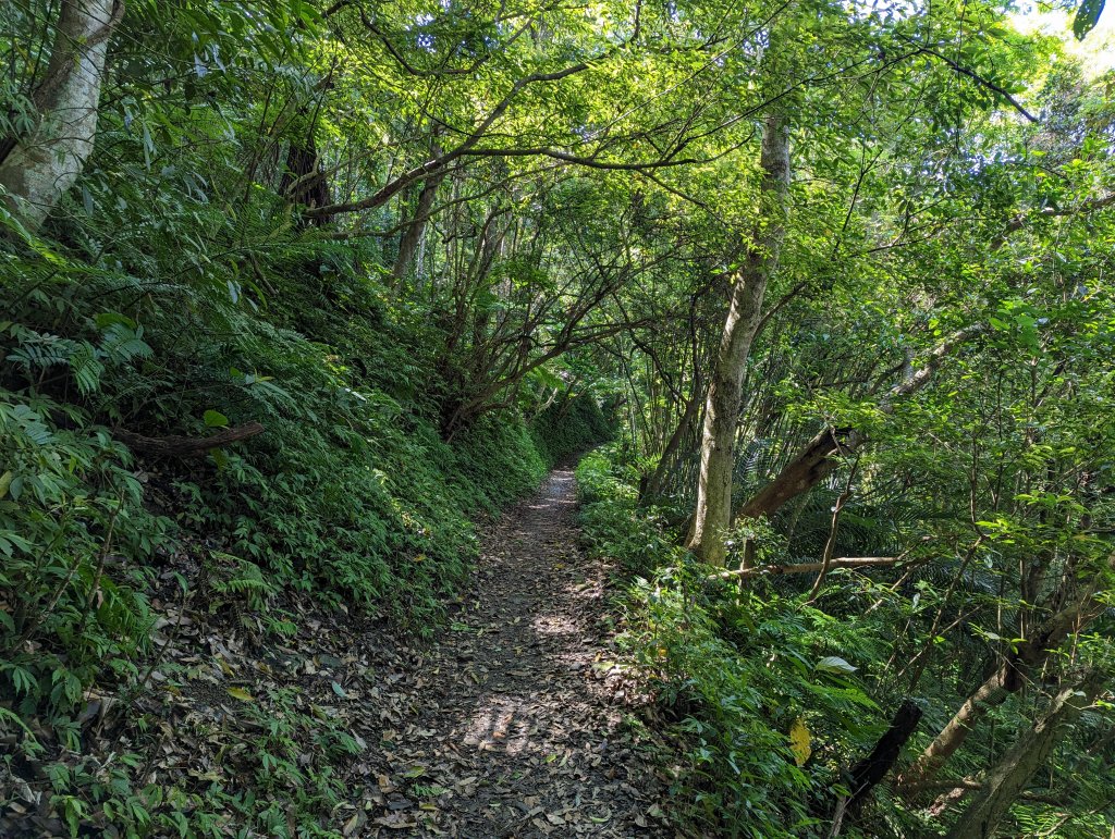 逐鹿山水路上卡保山(未經逐鹿山)封面圖