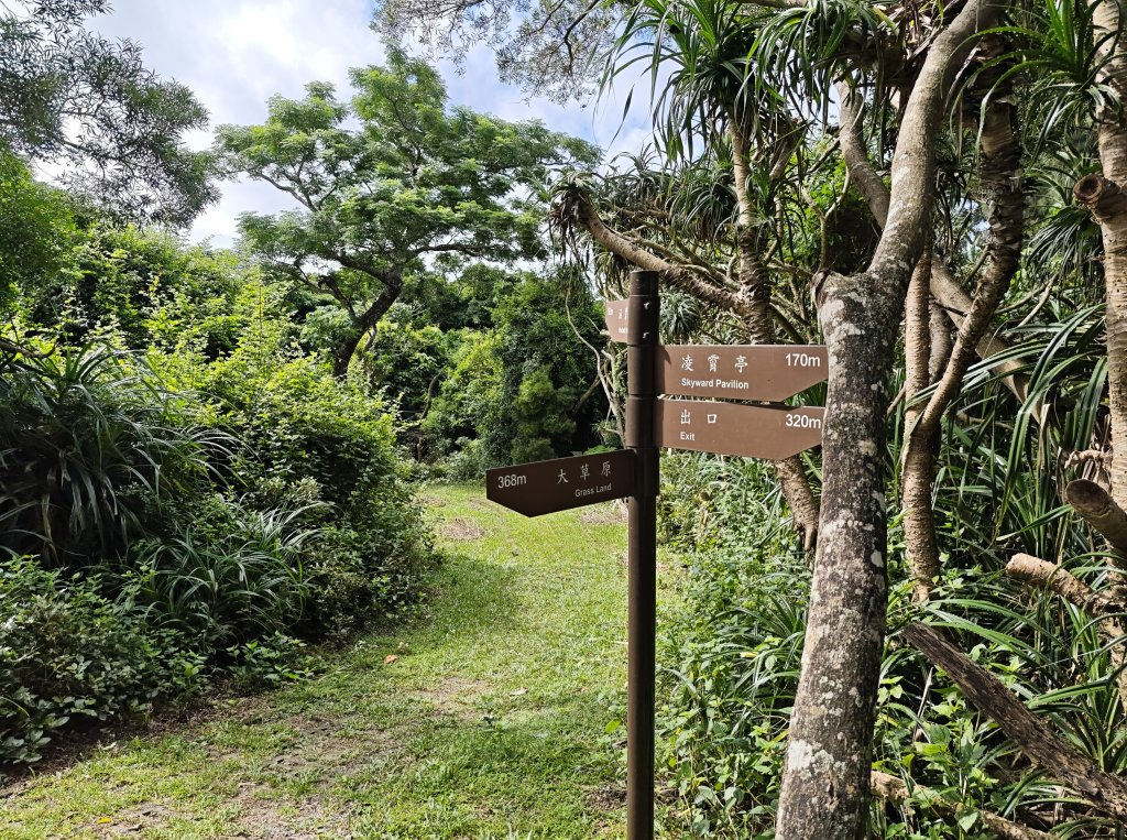 [百山百鳥尋旅-02/15] 2025_0809 社頂自然公園步道_2856964