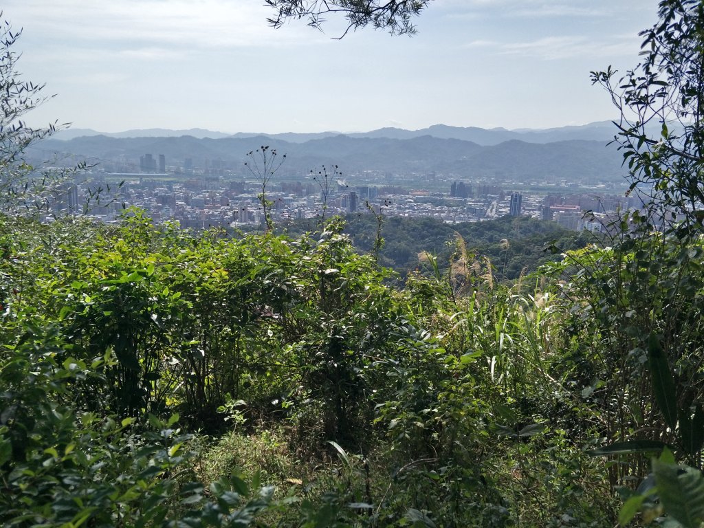 2020 03 16 樹林大棟山_881451