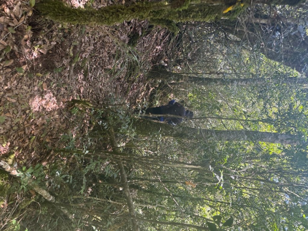 馬武霸O型_2745318