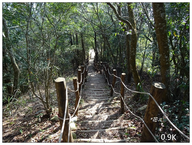 台中/大坑最美5-1步道_882457