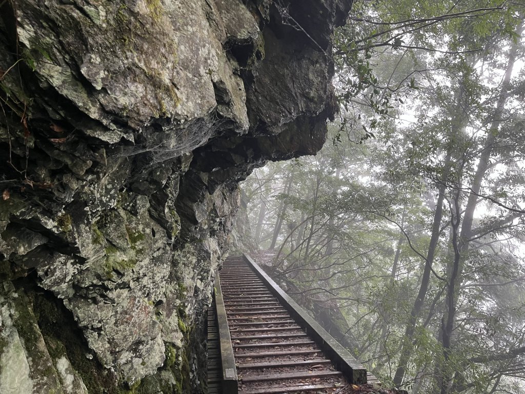 [玉山尋寶任務-02/12] 2025_0727 中之關、天池步道/南橫公路封面圖