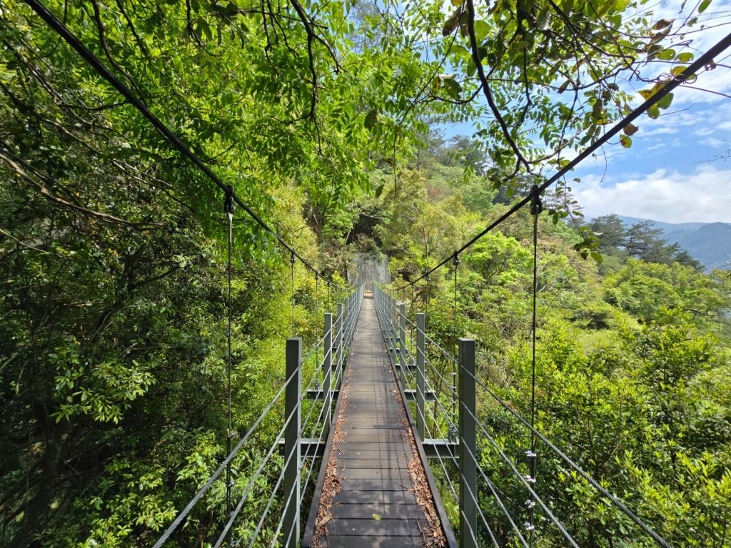 谷關松鶴橋對面的德芙蘭生態步道順登東卯山西南峰_2748306