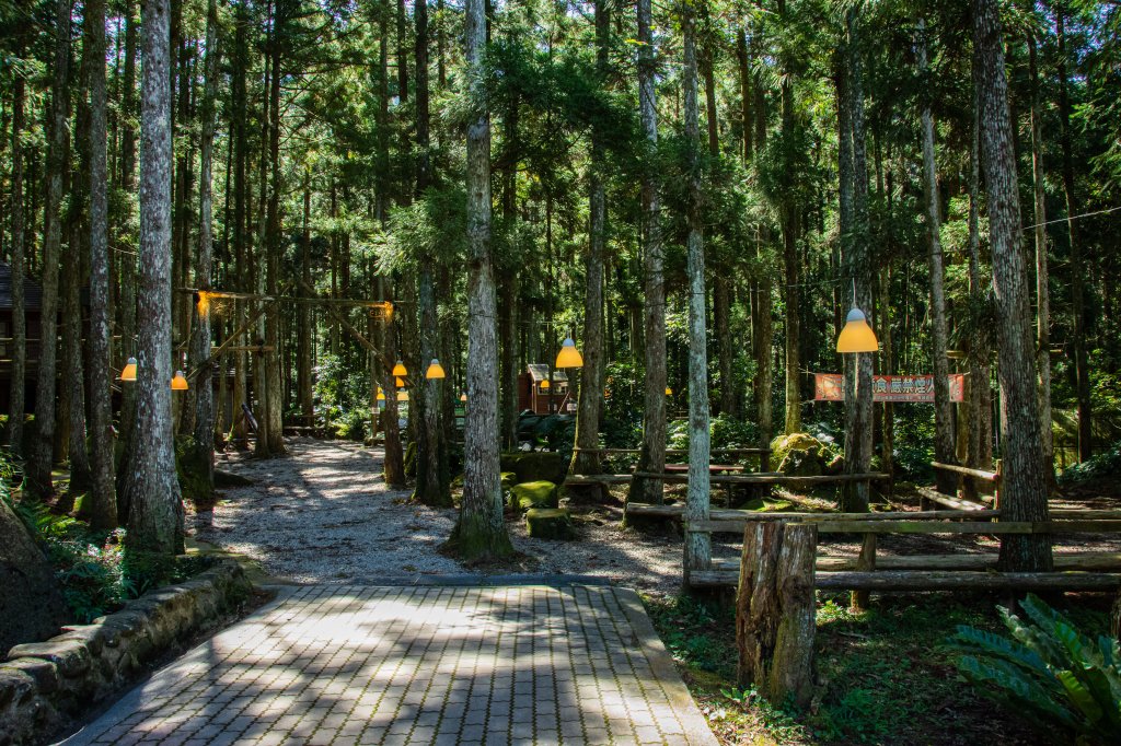 馬武督探索森林_2930679