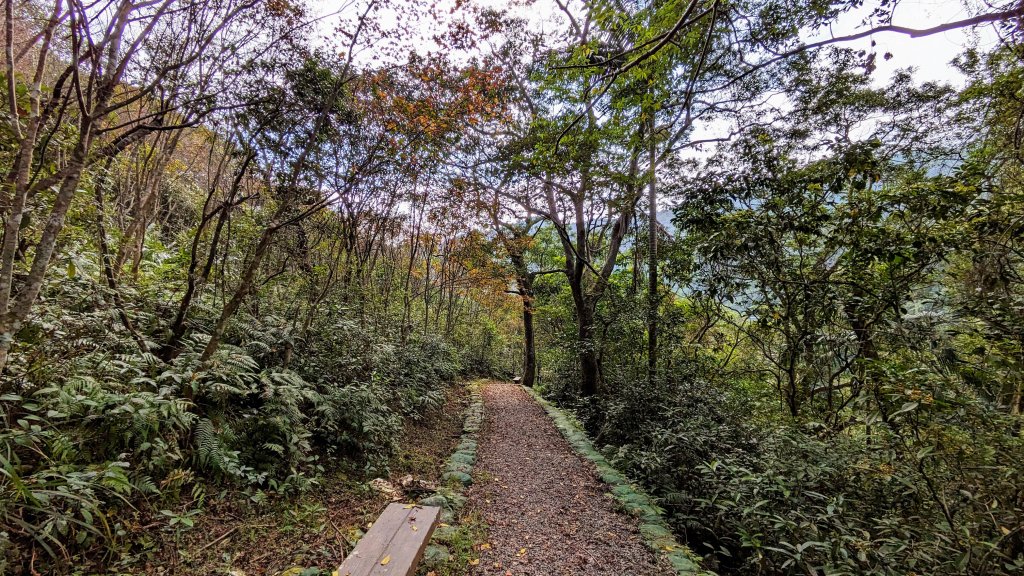 望龍埤,鎮頭山,蜊埤湖_2391886