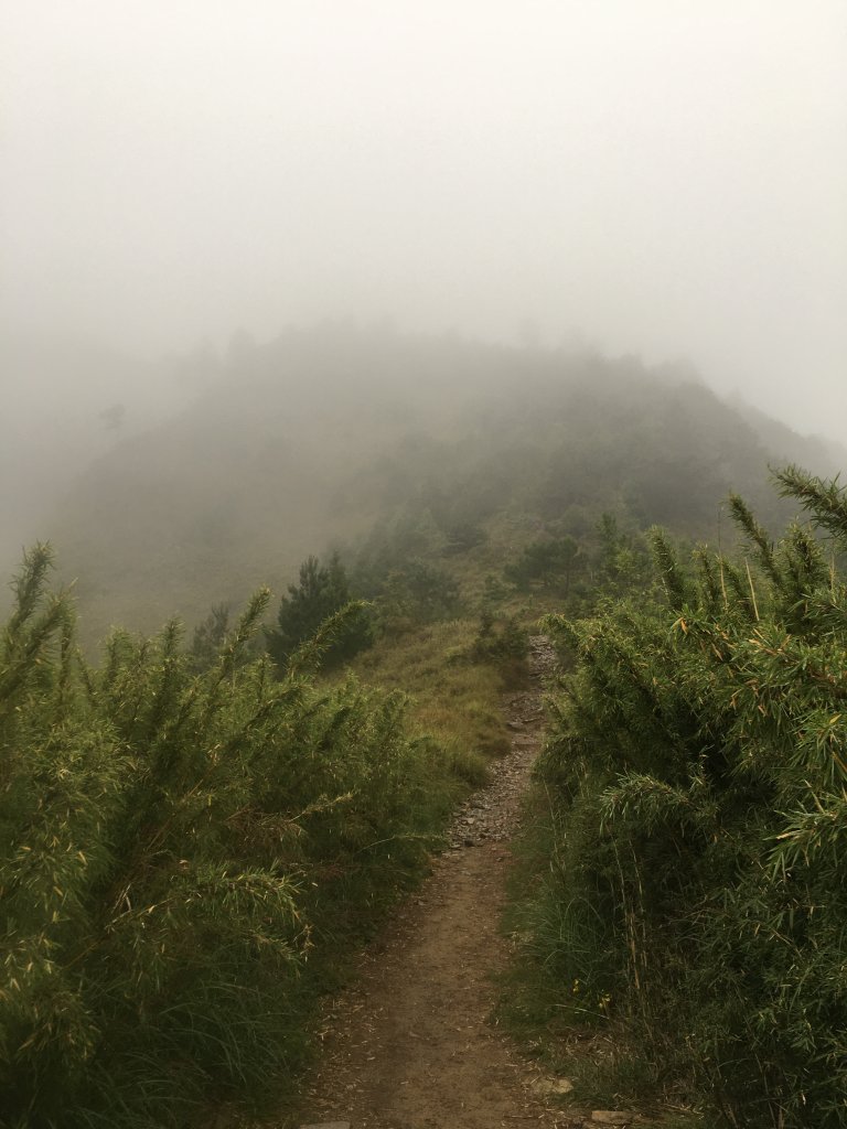 2020.08.22雪主東單攻_2013015