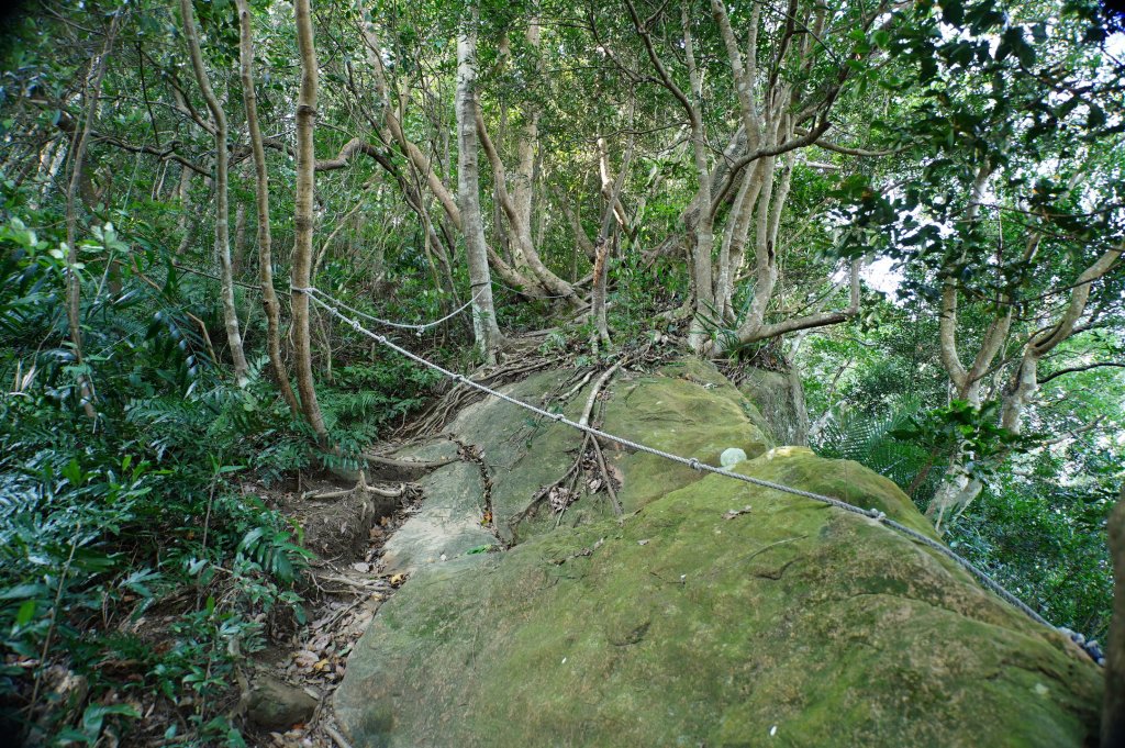新竹 關西 蓬萊仙島山、石牛山、油井窩山、福大山_2982389