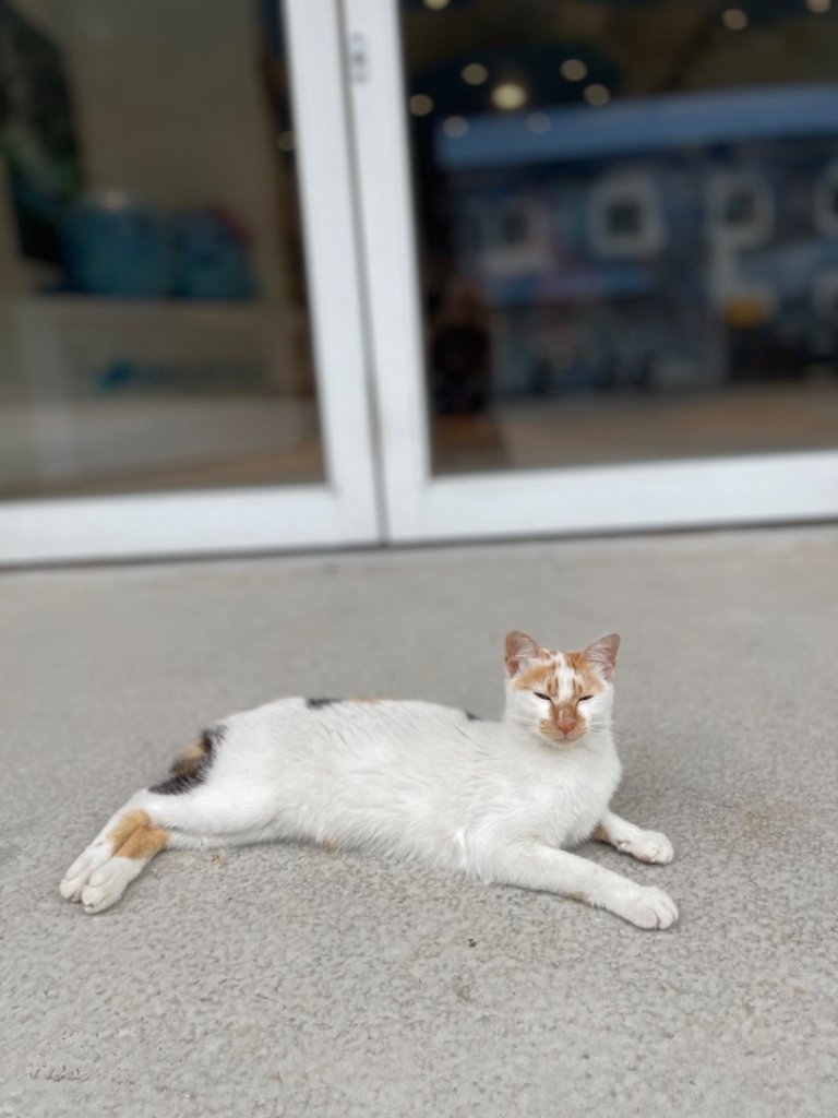 馬祖北竿-南竿_2530987