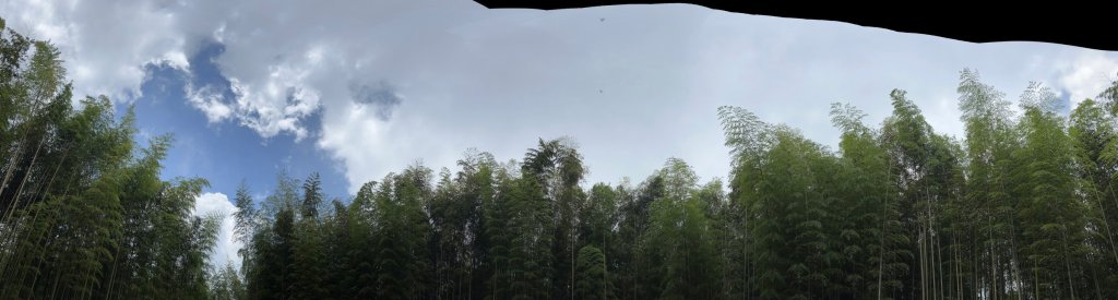 雲嶺之丘_20240720_2555083